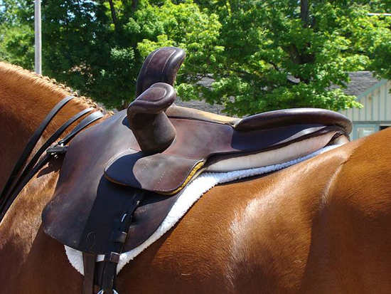 side-saddle-close-up