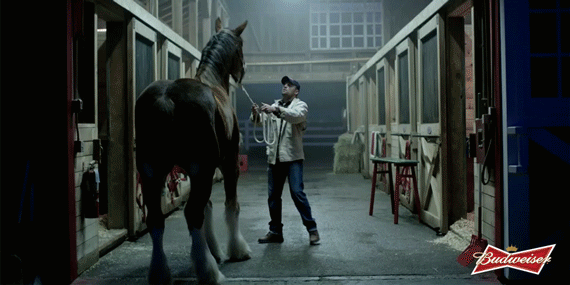 A B Super Bowl Ads Lost Dog Teaser Don and Budweiser Clydesdale
