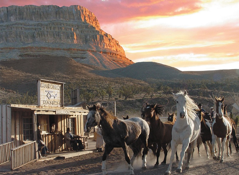 grand-canyon-ranch-horses