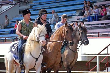Межрегиональная выставка лошадей «Золотая Вятка-2015»