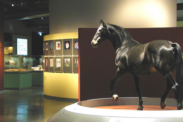 Музей Вестфальской лошади 