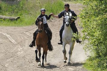 50 хитростей и советов подготовки пробежной лошади 