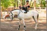 Как залезть на лошадь без седла