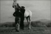 Белая лошадь (СССР, 1966 г.)