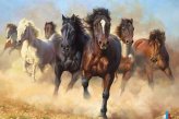 Путешествие по конной галерее