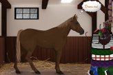 Говорящая лошадь / Talking Horse