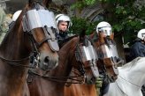 Служба лошадей в полиции Германии