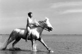 Белая грива: Дикая лошадь / Crin blanc: Le cheval sauvage (1953 г.)