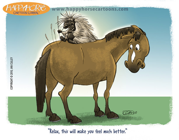 horse-cartoon