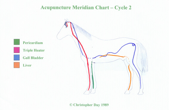veterinary_acupuncture_meridians_horse_2
