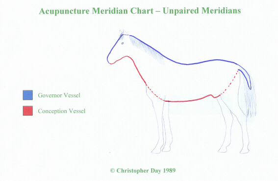 veterinary_acupuncture_meridians_horse_4_unpaired