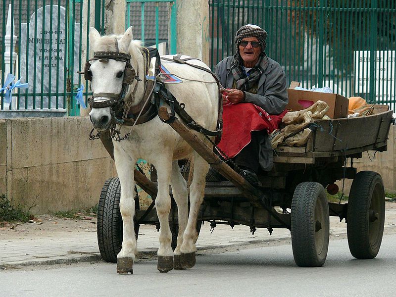800px-Albanian_with_Horse_&_Cart_at_the_Muslim_Cemetery,_Tetovo