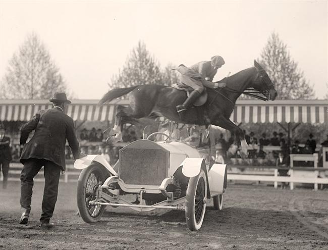 Jumping-Horse-Over-Car