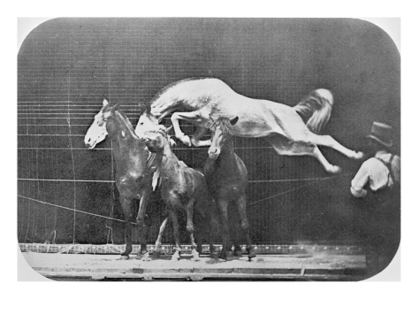 eadweard-muybridge-jumping-over-three-horses-chestnut-horse-hornet_i-G-65-6500-KIX6100Z