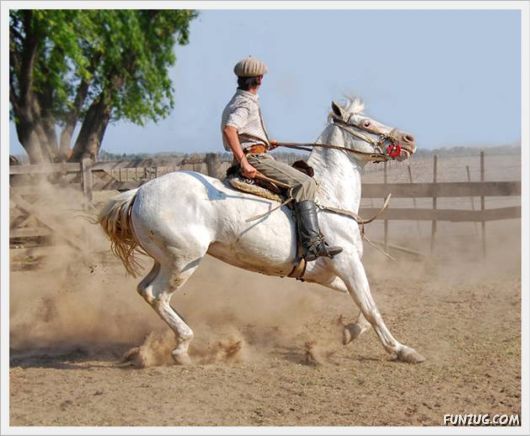 argentine_horse_sport_11