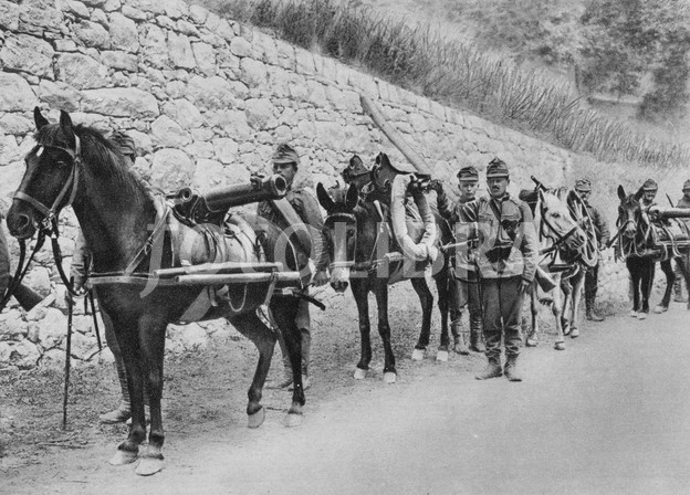 1029849-world-war-i-1914-1918-austro-hungarian-soldiers-with-pack-horses-carrying-guns
