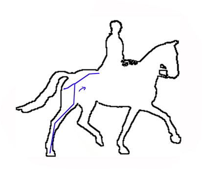 Correct-horse