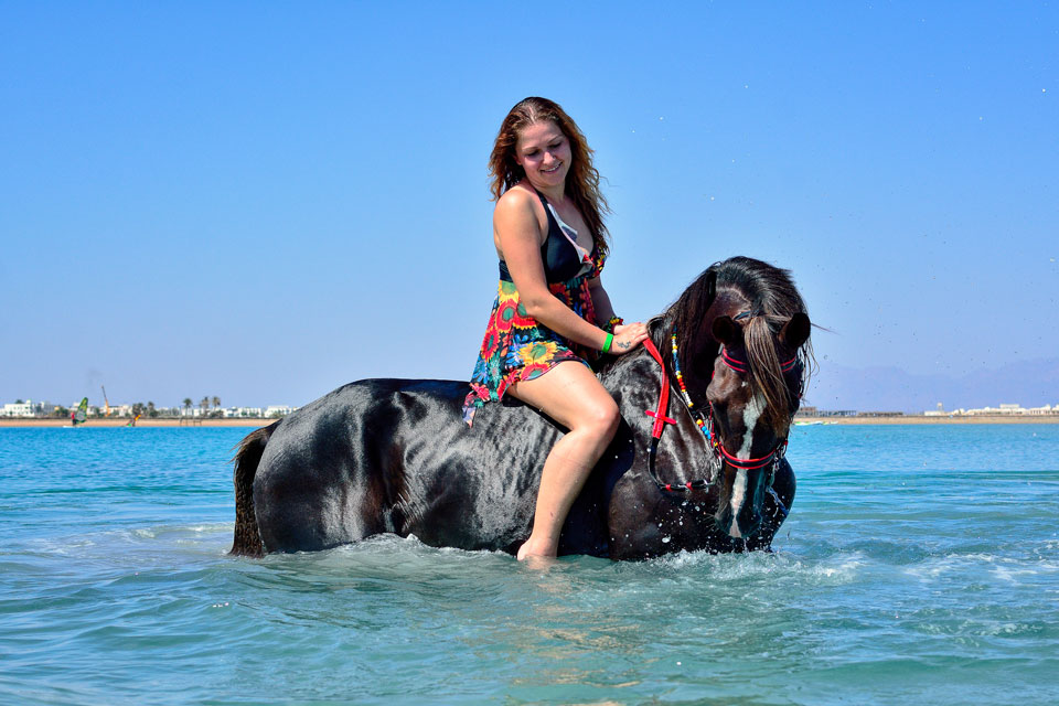 swimming-with-horses-in-sharm