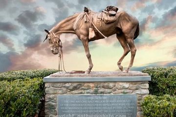Памятники лошадям: Военные