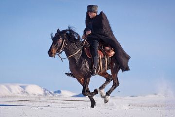 Покорение Эльбруса карачаевскими лошадьми.