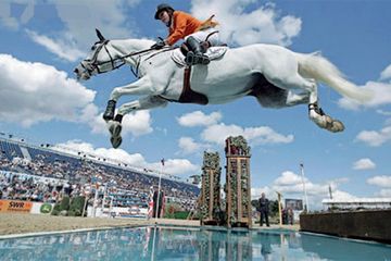 Подготовка конкурной лошади, Автор: Антон Паалман (главы из книги)