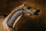 Значение символа лошади в мире татуировок
