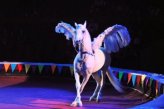 История цирковой лошади