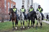 Московская конная полиция 